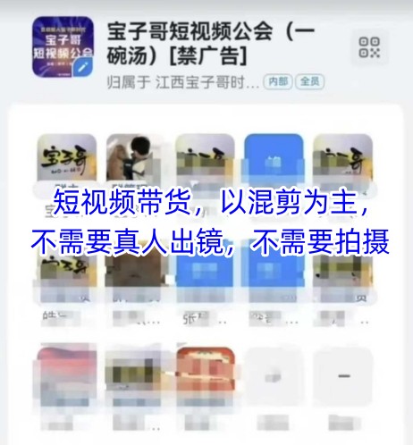 宝子哥头部团队短视频带货，以混剪为主，不需要真人出镜，不需要拍摄【更新9月】-钱叫兽
