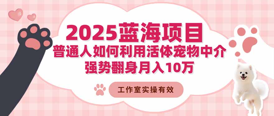 2025蓝海项目：普通人如何利用活体宠物中介，强势翻身月入10万-钱叫兽